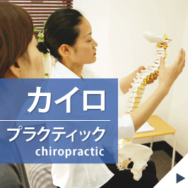 カイロプラクティック chiropractic